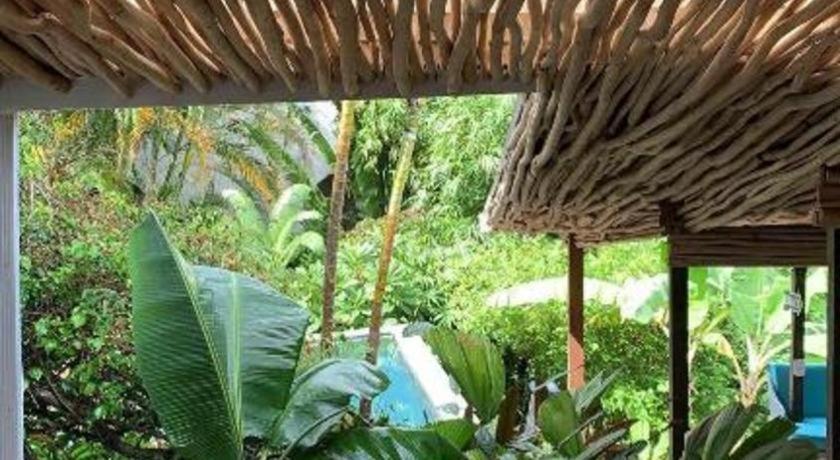 Bamboojam Villa Las Terrenas Extérieur photo